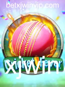 Explorando CricketFever: Regras e Introdução ao Jogo Mais Empolgante do Ano
